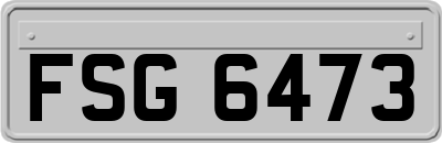 FSG6473
