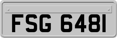 FSG6481