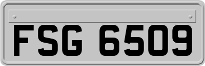 FSG6509