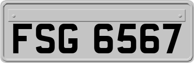 FSG6567