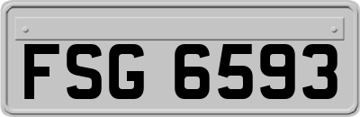 FSG6593