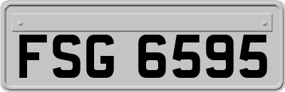 FSG6595