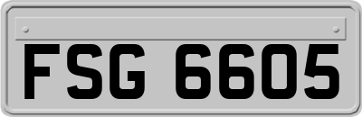 FSG6605