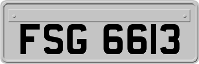FSG6613
