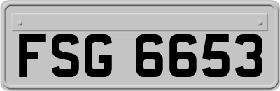 FSG6653