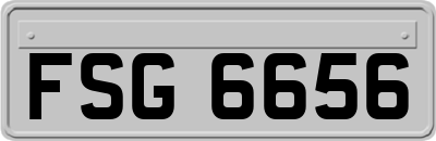 FSG6656
