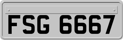 FSG6667