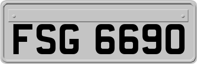FSG6690