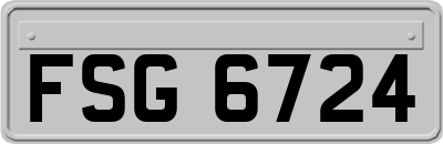 FSG6724