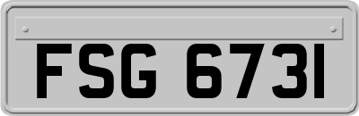 FSG6731