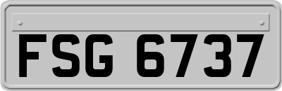 FSG6737
