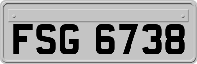 FSG6738