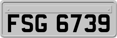 FSG6739