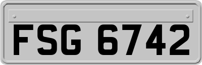 FSG6742