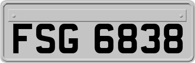 FSG6838