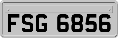 FSG6856