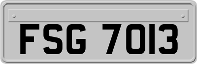 FSG7013