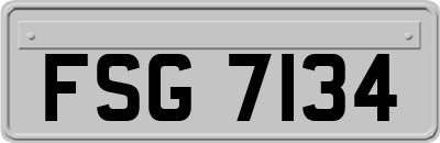 FSG7134