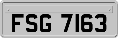 FSG7163