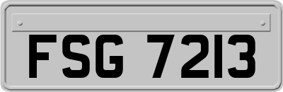 FSG7213