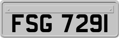 FSG7291