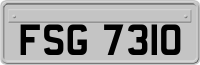 FSG7310