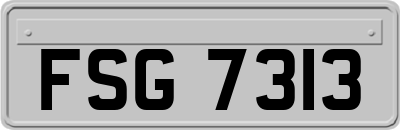 FSG7313