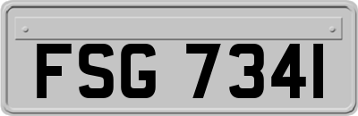 FSG7341