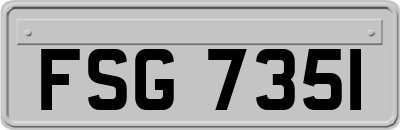 FSG7351