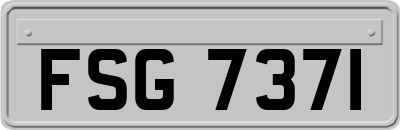 FSG7371