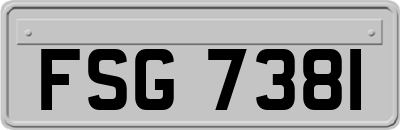 FSG7381