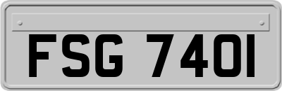 FSG7401