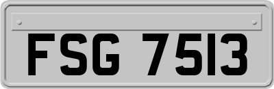 FSG7513