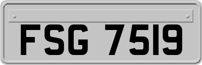 FSG7519