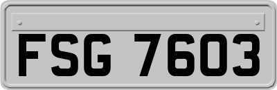 FSG7603