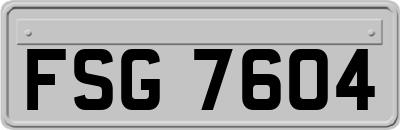 FSG7604