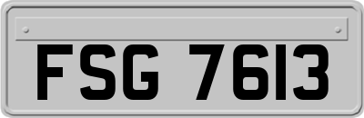 FSG7613