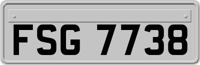 FSG7738