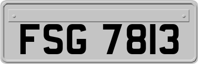 FSG7813