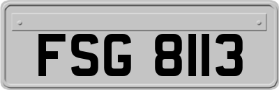 FSG8113