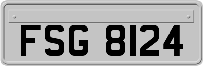 FSG8124