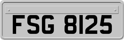FSG8125