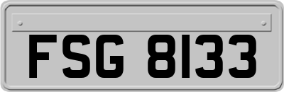 FSG8133