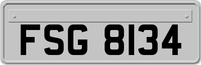 FSG8134