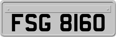 FSG8160