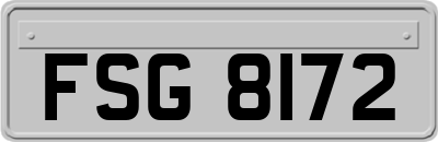 FSG8172