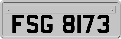FSG8173