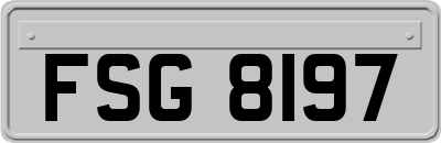 FSG8197