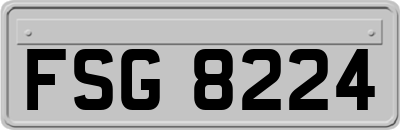 FSG8224