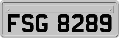 FSG8289